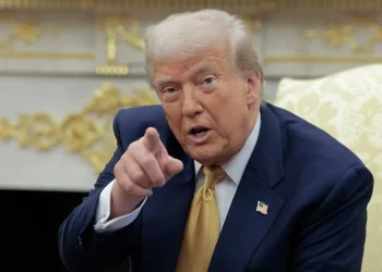 CEOs and Trump: Praise, access and the politics of profit
