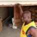 African Cocoa Farmers Let Crops Rot as Global Prices Collapse